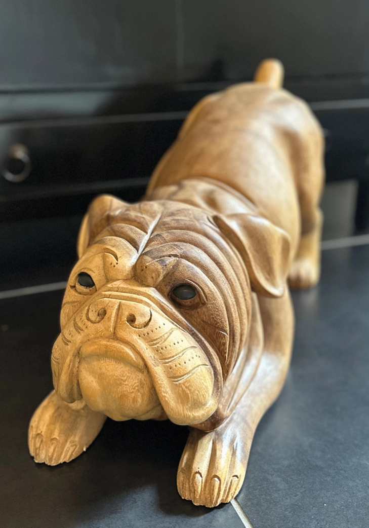 Engelsk Bulldog træfigur håndlavet på Bali. Liggende med rumpen op i vejret. 50 cm lang og 32 cm høj