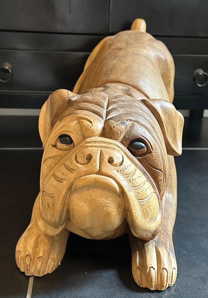 Engelsk Bulldog træfigur håndlavet på Bali. Liggende med rumpen op i vejret. 50 cm lang og 32 cm høj